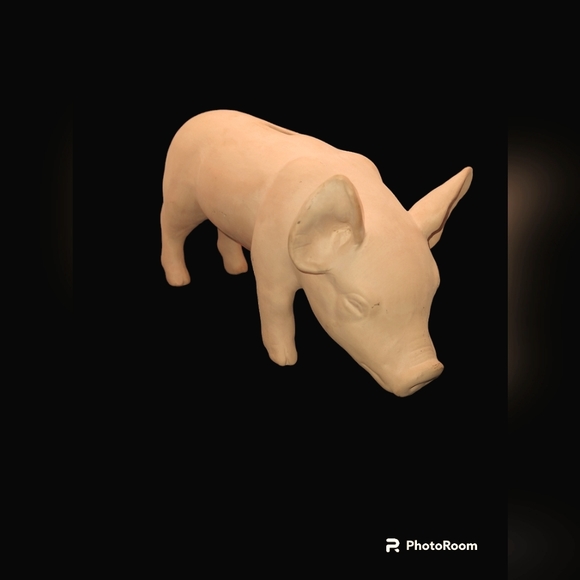 Piggy Bank - Picture 12 of 14